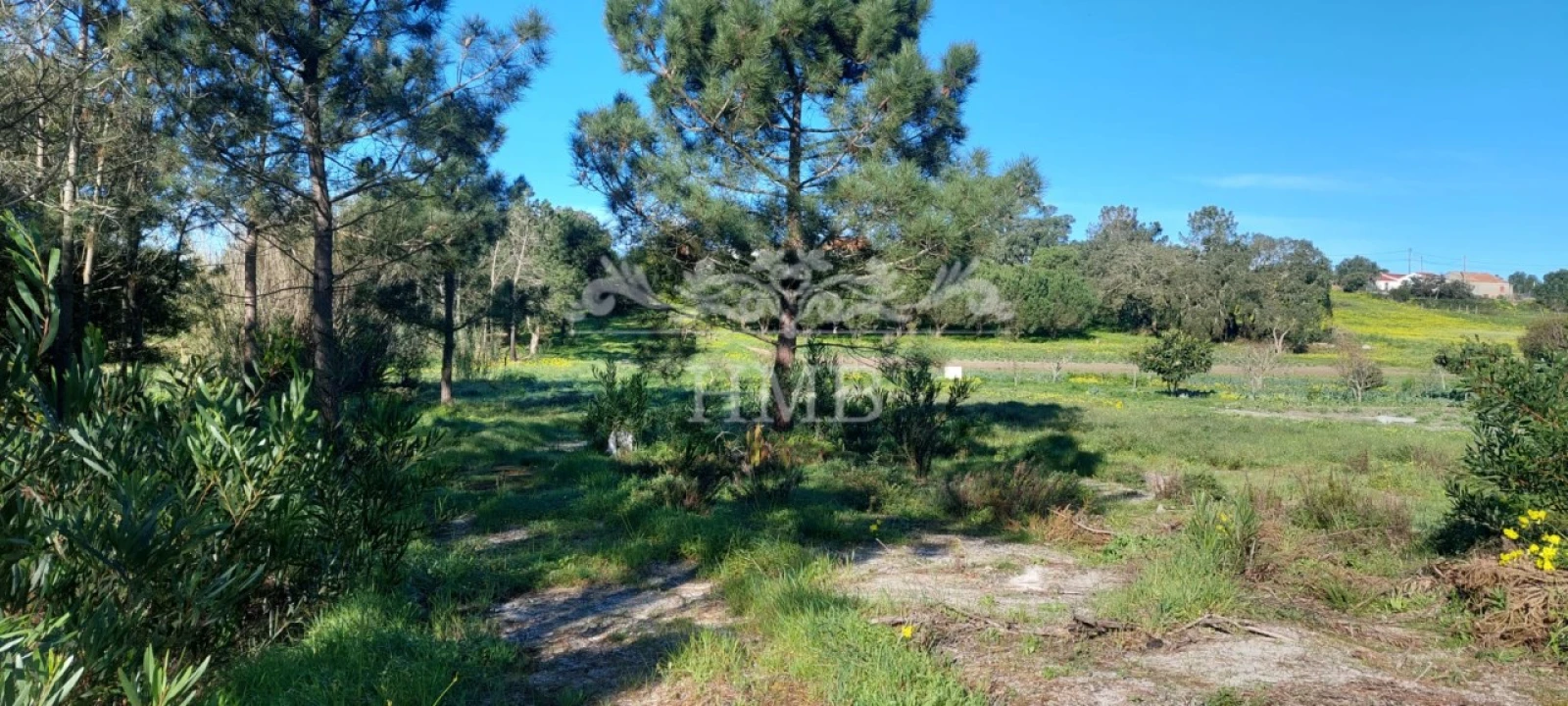 Terreno para Venda em Rogil Foto 14