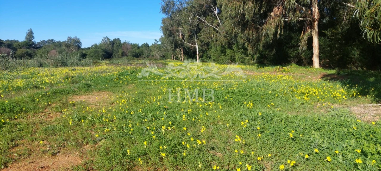 Terreno para Venda em Rogil Foto 15