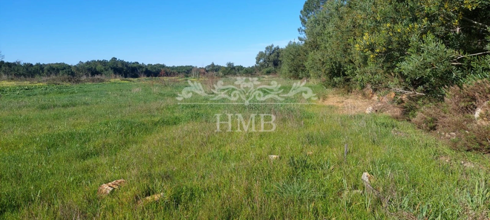 Terreno para Venda em Rogil Foto 18