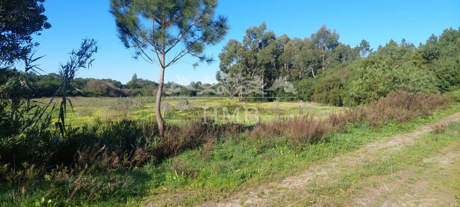 Terreno para Venda em Rogil Foto 19