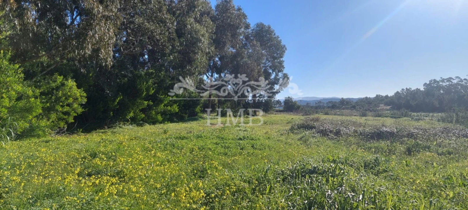 Terreno para Venda em Rogil Foto 21