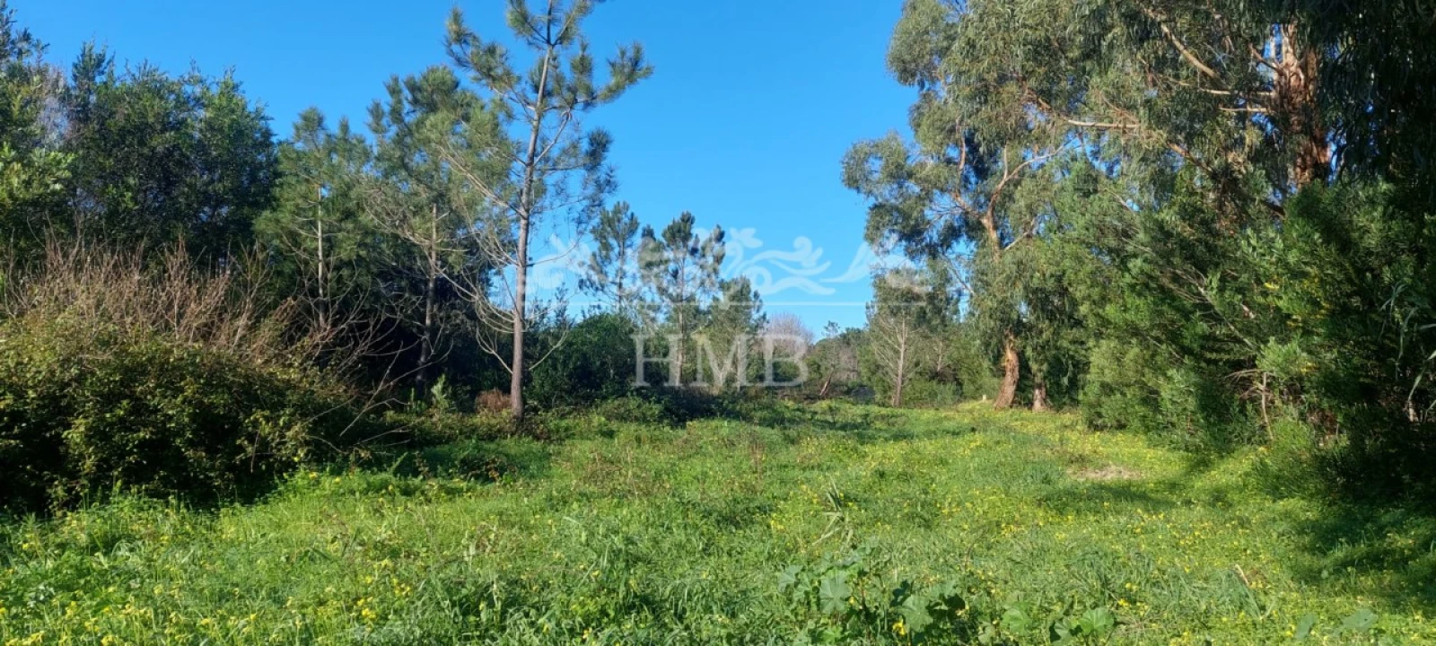 Terreno para Venda em Rogil Foto 23