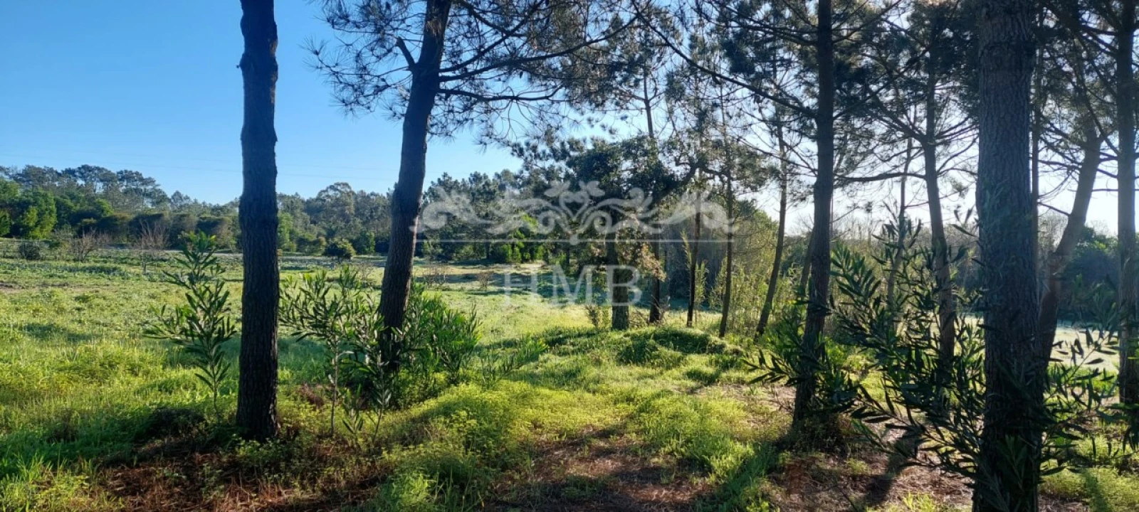 Terreno para Venda em Rogil Foto 1