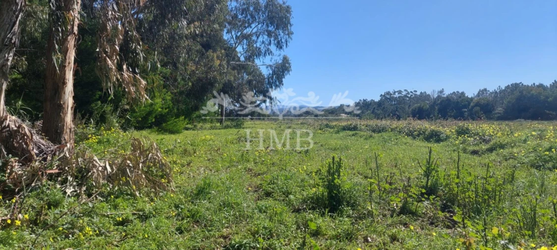 Terreno para Venda em Rogil Foto 3