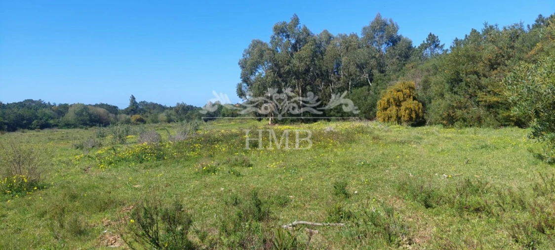 Terreno para Venda em Rogil Foto 9