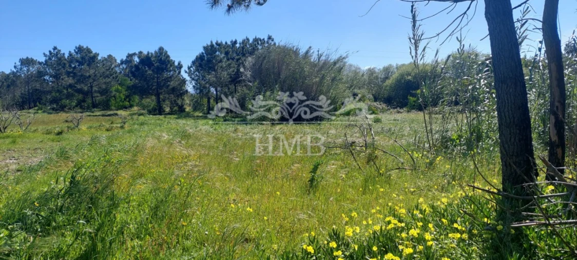 Terreno para Venda em Rogil Foto 10