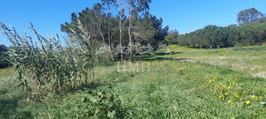 Terreno para Venda em Rogil Foto 12