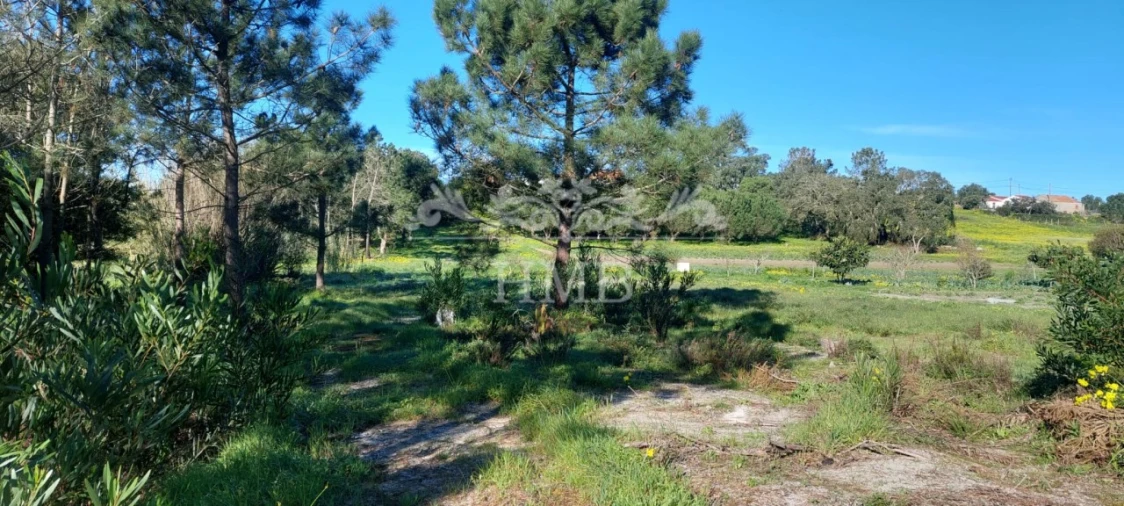 Terreno para Venda em Rogil Foto 14