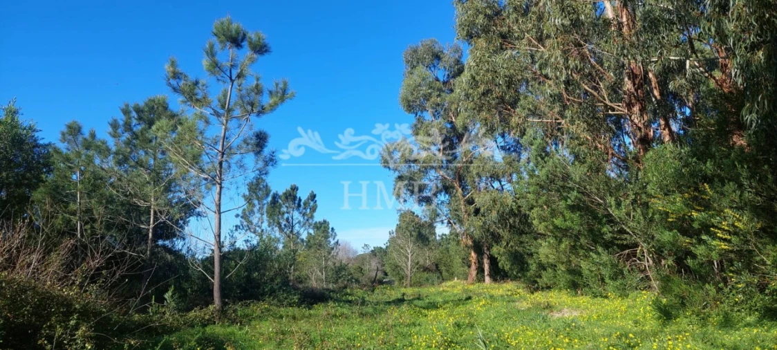 Terreno para Venda em Rogil Foto 16