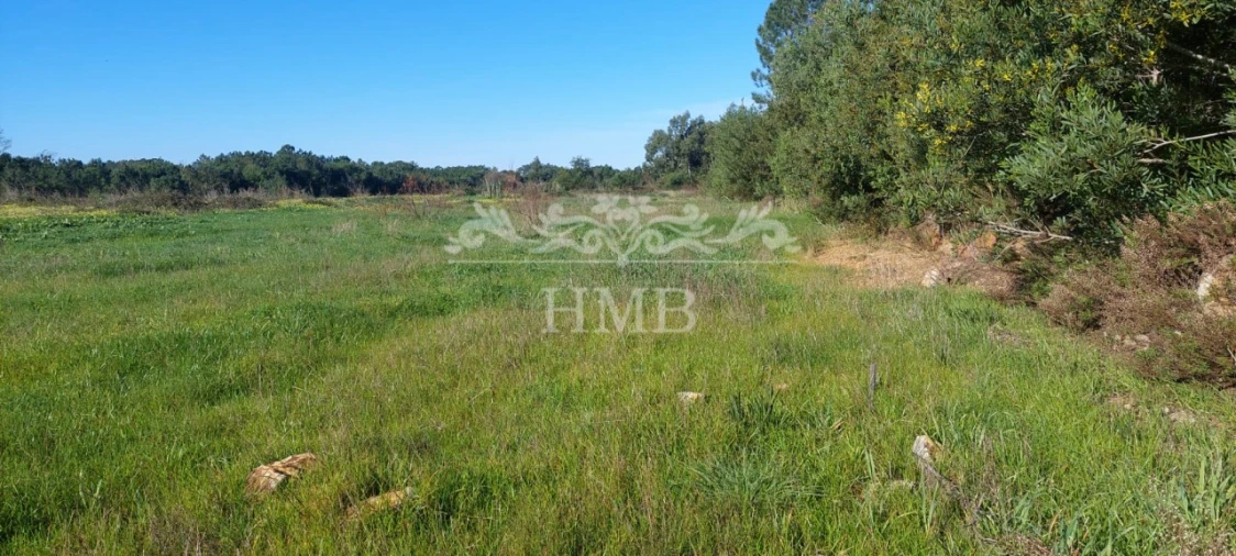 Terreno para Venda em Rogil Foto 17