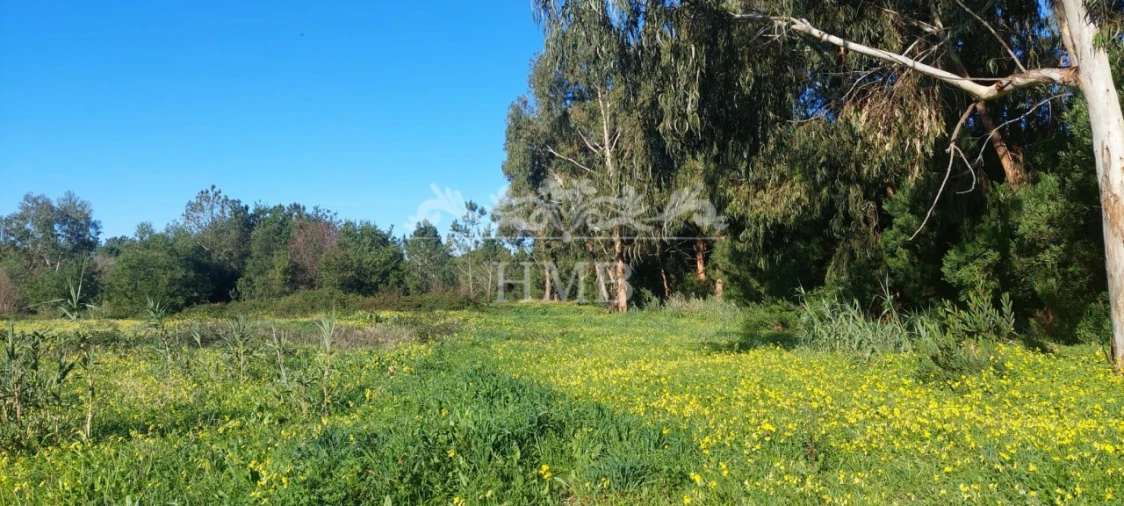 Terreno para Venda em Rogil Foto 20