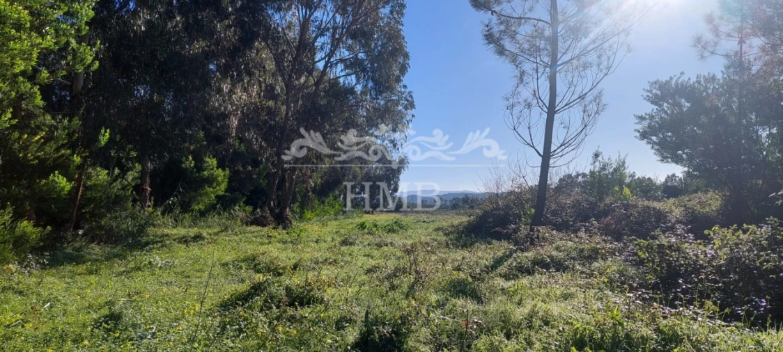 Terreno para Venda em Rogil Foto 22