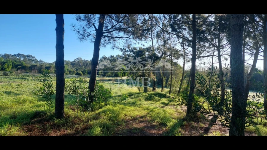 Terreno para Venda em Rogil