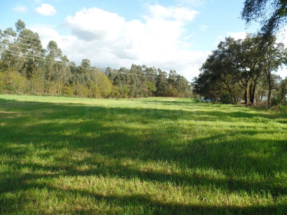 Terreno para Venda em Areias, Sequeirô, Lama e Palmeira Foto 5