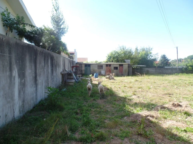 Terreno para Venda em Areias, Sequeirô, Lama e Palmeira Foto 4