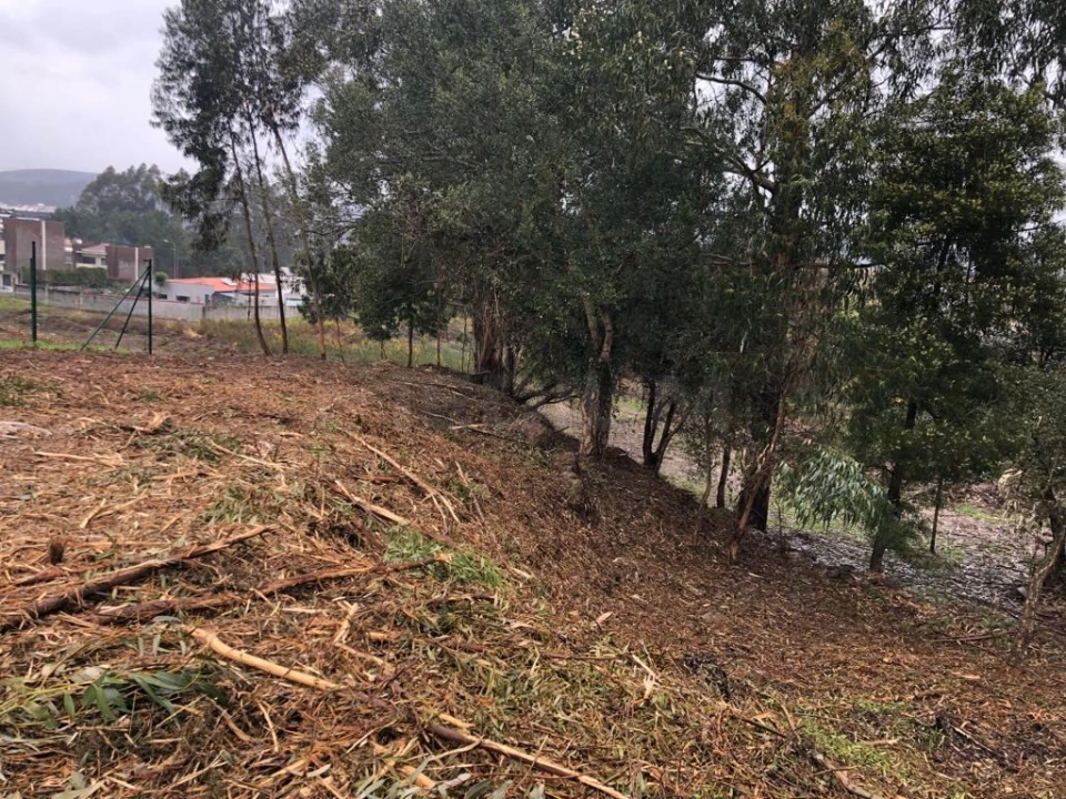 Terreno para Venda em Valongo Foto 8