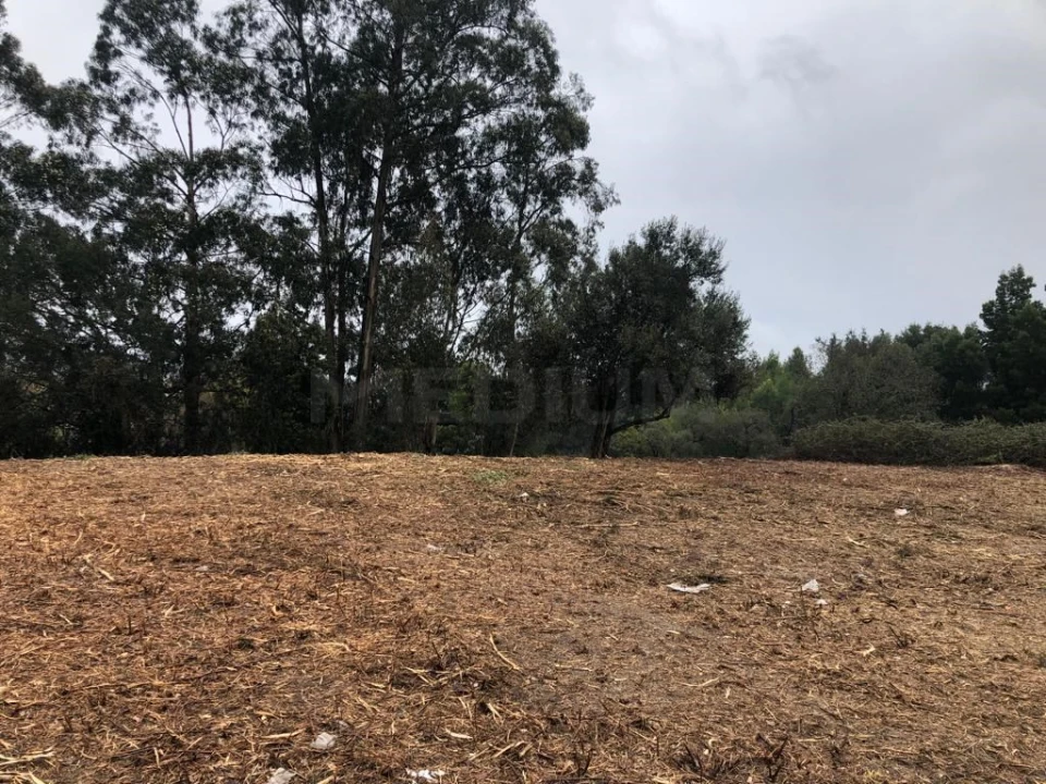 Terreno para Venda em Valongo Foto 9