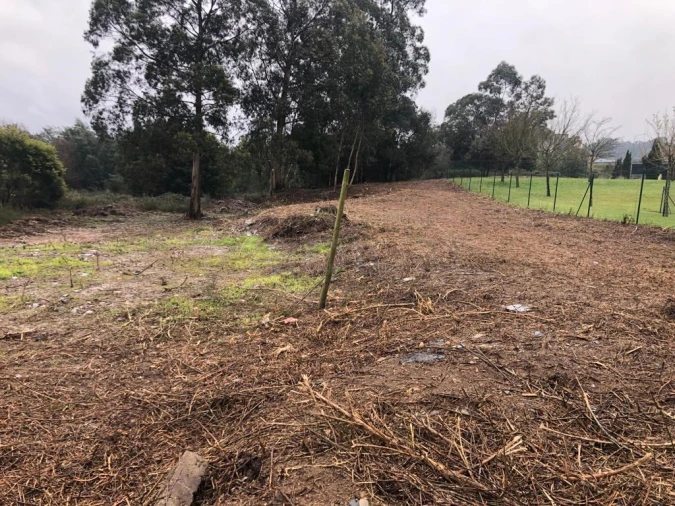 Terreno para Venda em Valongo Foto 2