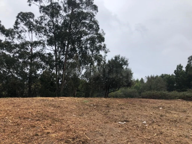 Terreno para Venda em Valongo Foto 5