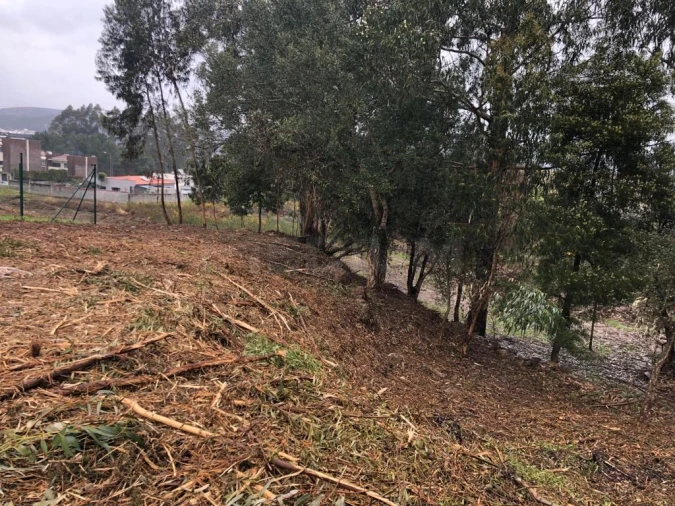 Terreno para Venda em Valongo Foto 8