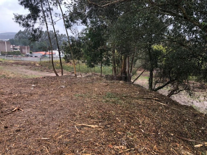 Terreno para Venda em Valongo Foto 13