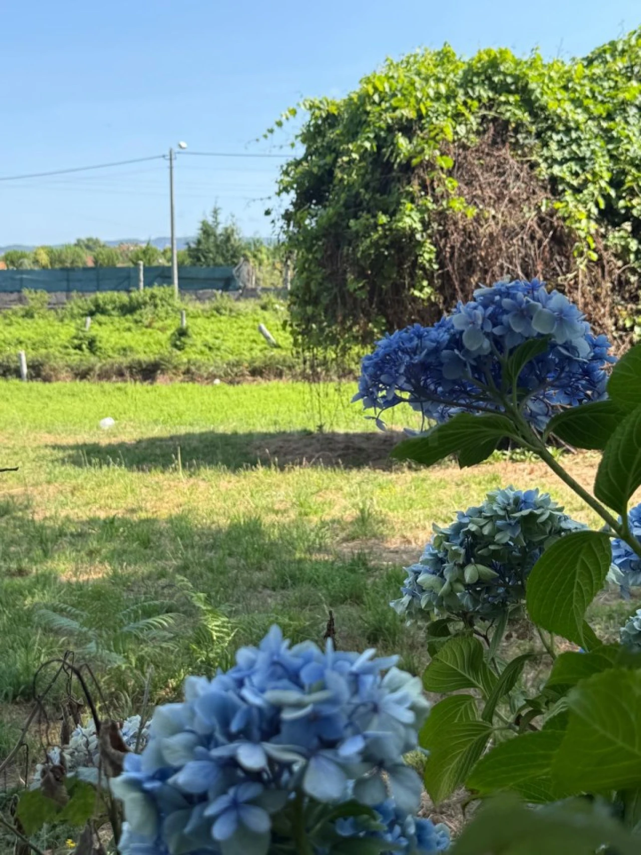 Terreno para Venda em Lemenhe, Mouquim e Jesufrei Foto 3