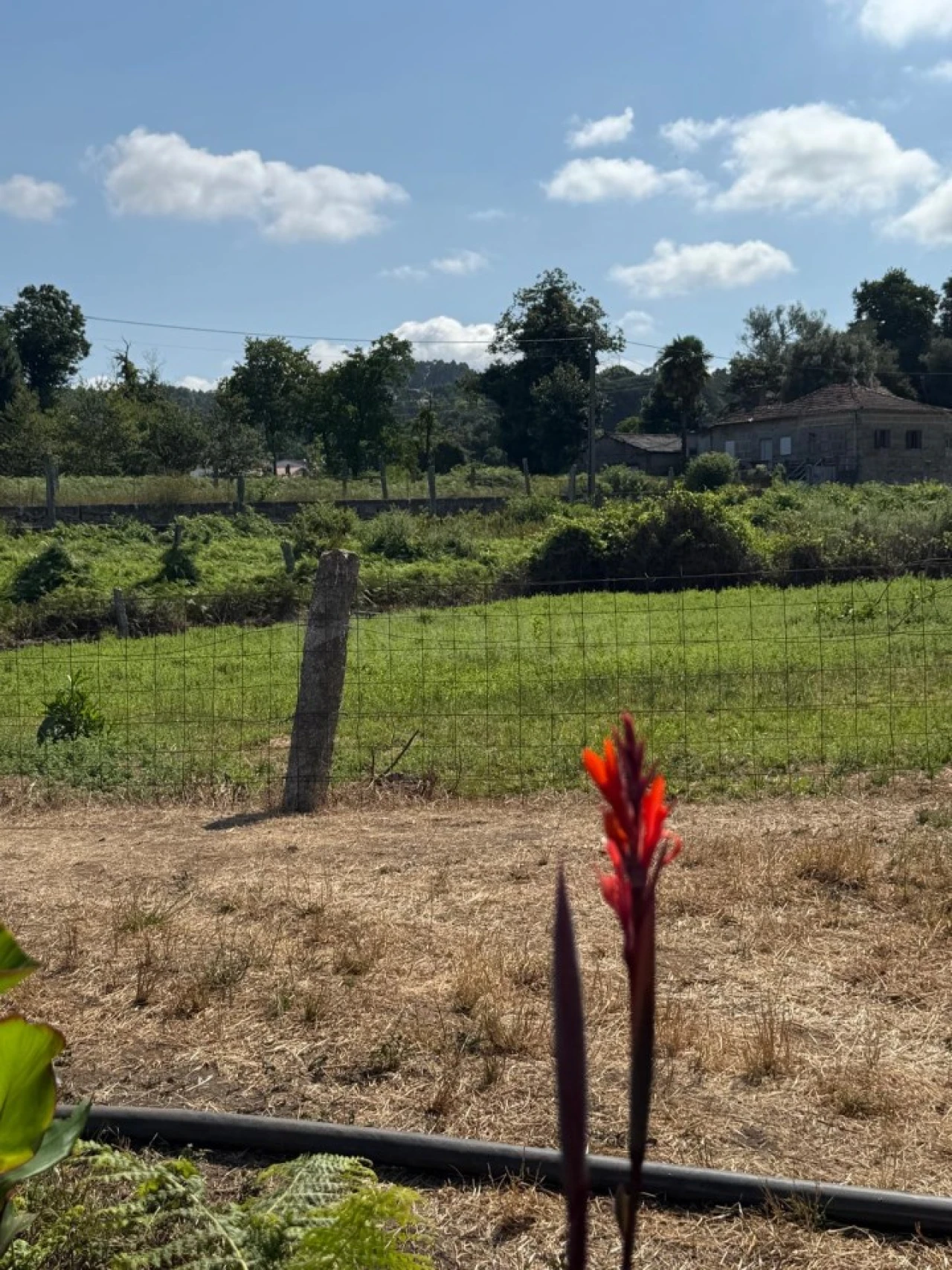 Terreno para Venda em Lemenhe, Mouquim e Jesufrei Foto 6