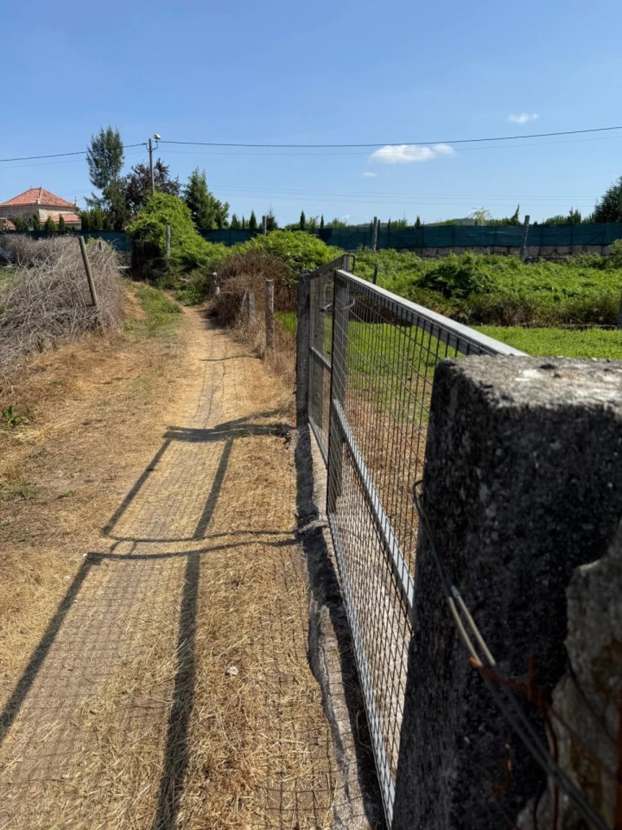 Terreno para Venda em Lemenhe, Mouquim e Jesufrei Foto 7