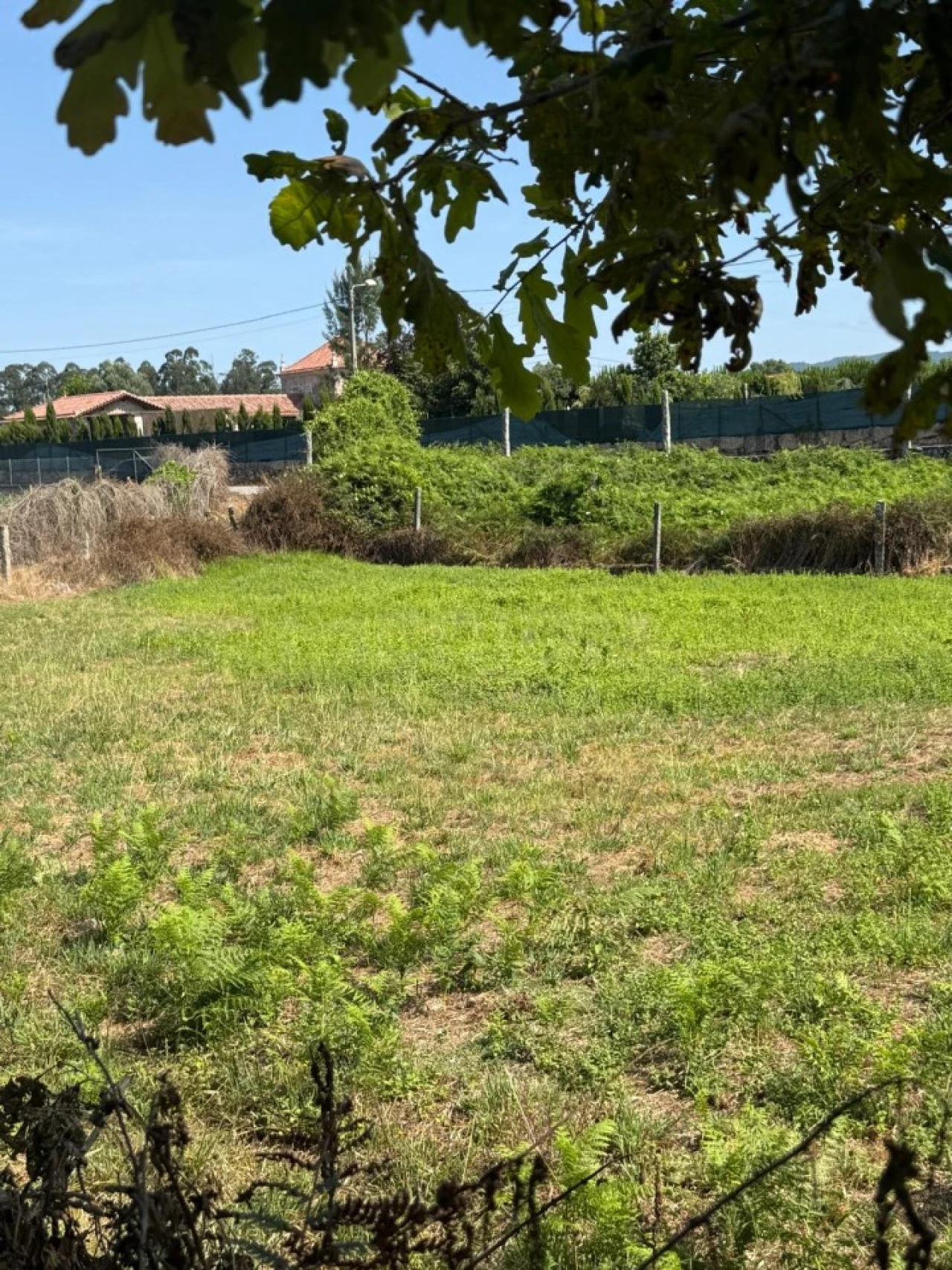 Terreno para Venda em Lemenhe, Mouquim e Jesufrei Foto 8