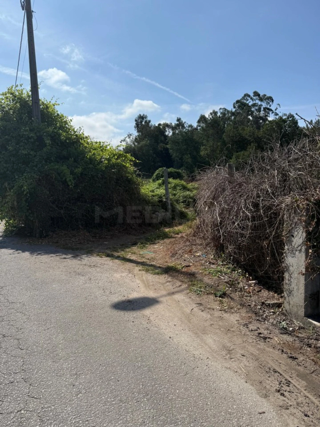 Terreno para Venda em Lemenhe, Mouquim e Jesufrei Foto 9