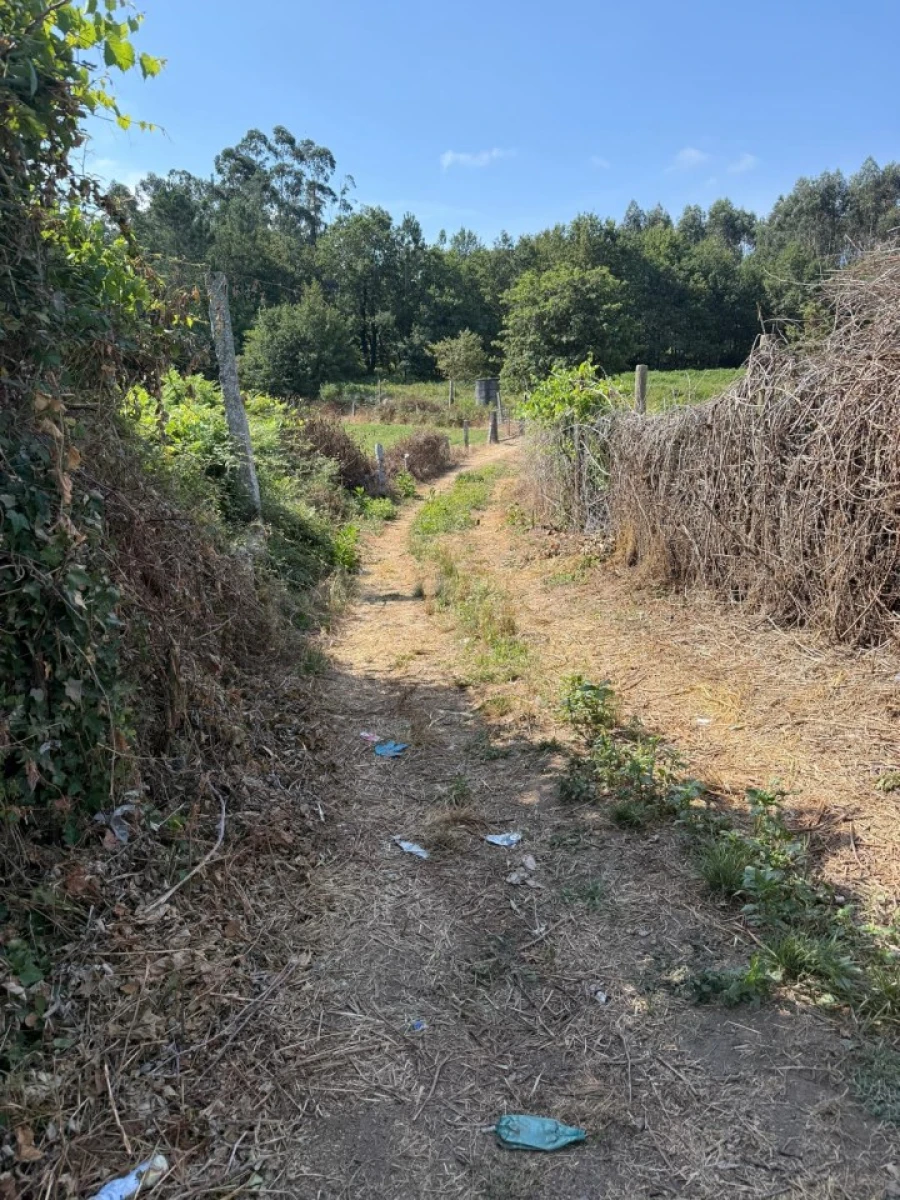 Terreno para Venda em Lemenhe, Mouquim e Jesufrei Foto 11