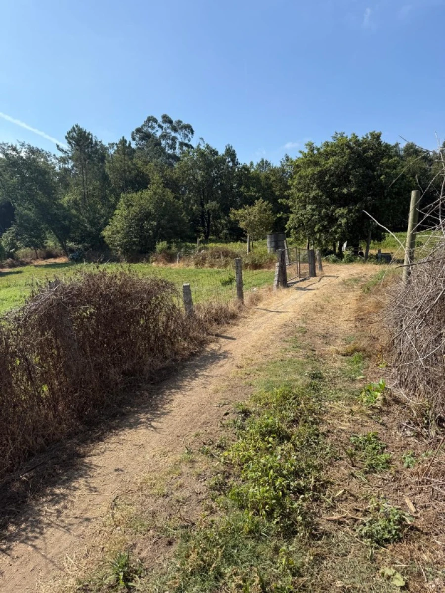 Terreno para Venda em Lemenhe, Mouquim e Jesufrei Foto 14