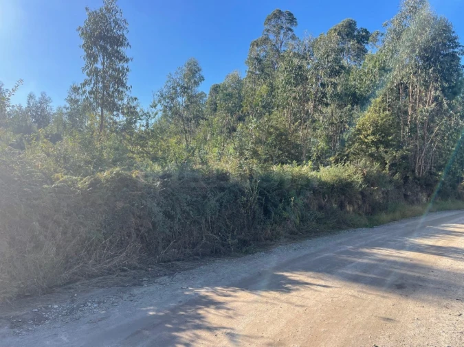 Terreno para Venda em Viatodos, Grimancelos, Minhotães, Monte Fralães Foto 2