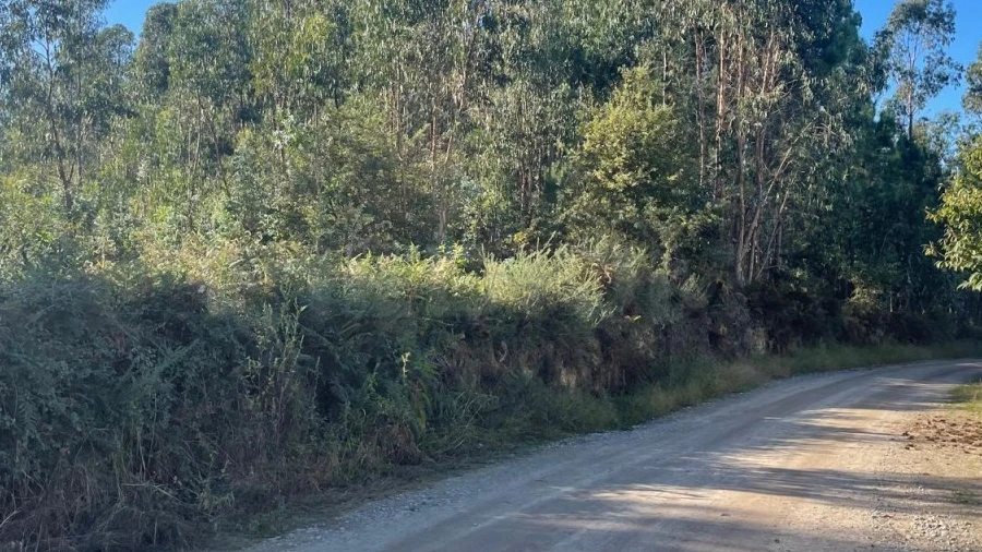 Terreno para Venda em Viatodos, Grimancelos, Minhotães, Monte Fralães