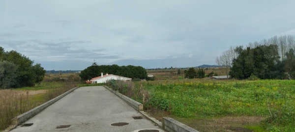Terreno para Venda em Monte Real e Carvide