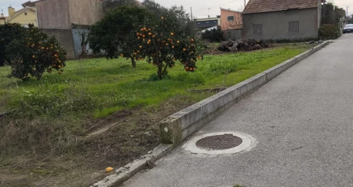 Terreno para Venda em Monte Real e Carvide