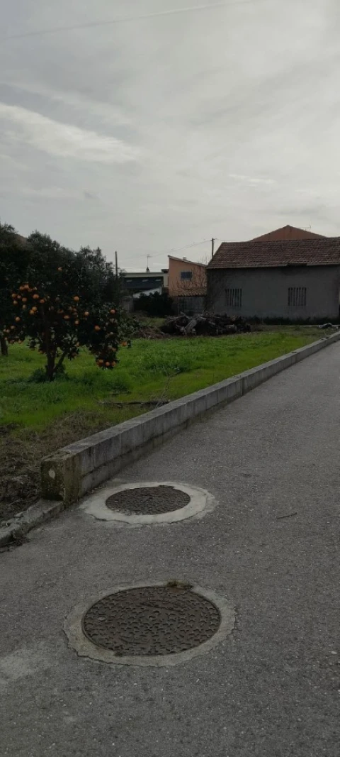 Terreno para Venda em Monte Real e Carvide