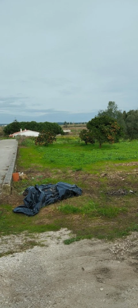 Terreno para Venda em Monte Real e Carvide
