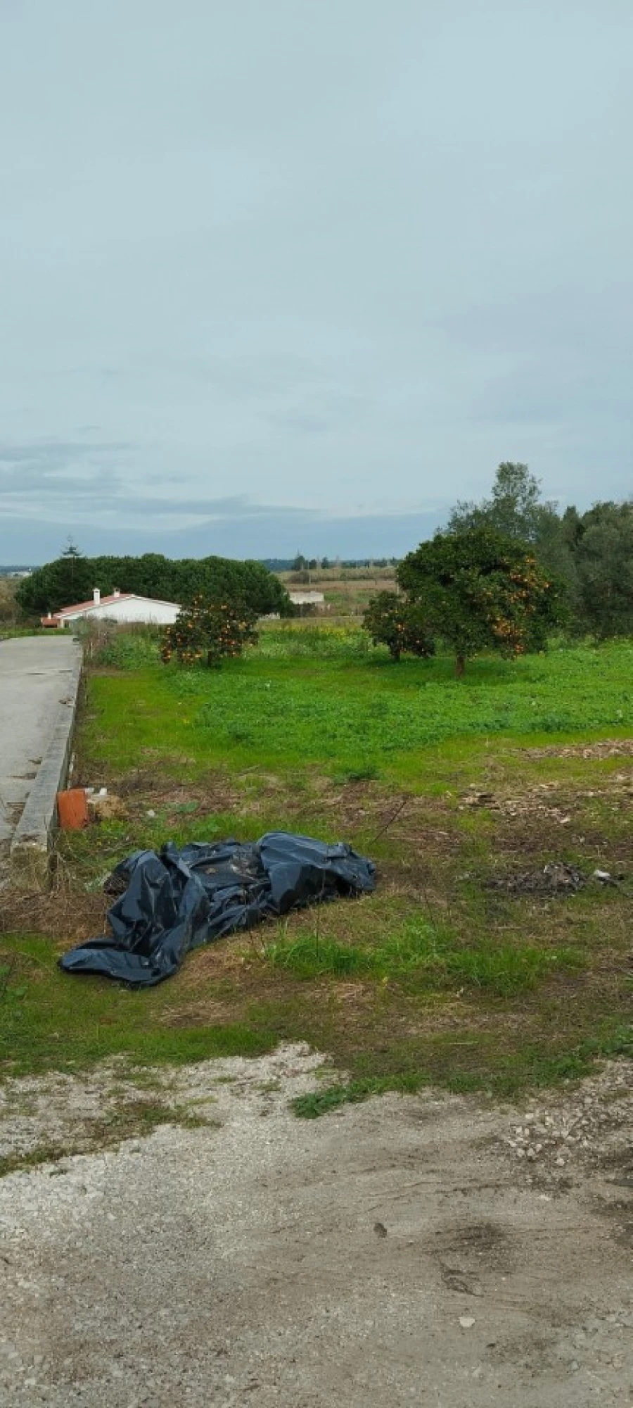 Terreno para Venda em Monte Real e Carvide Foto 4