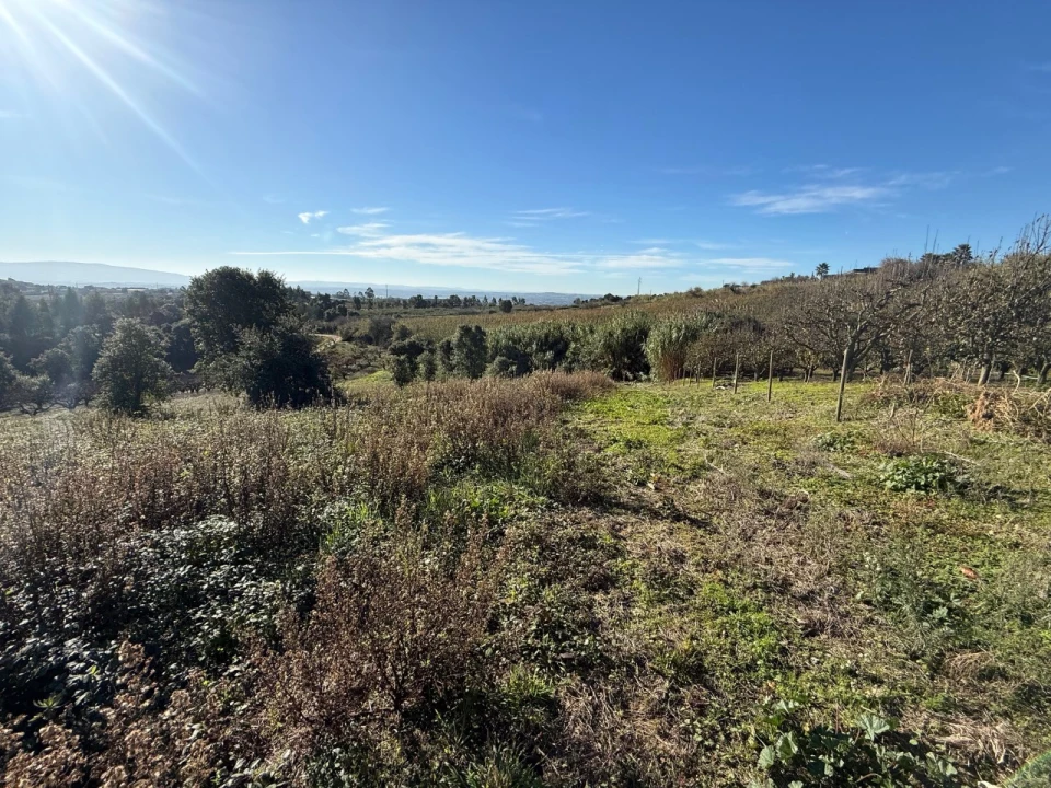 Terreno para Venda em Usseira Foto 11