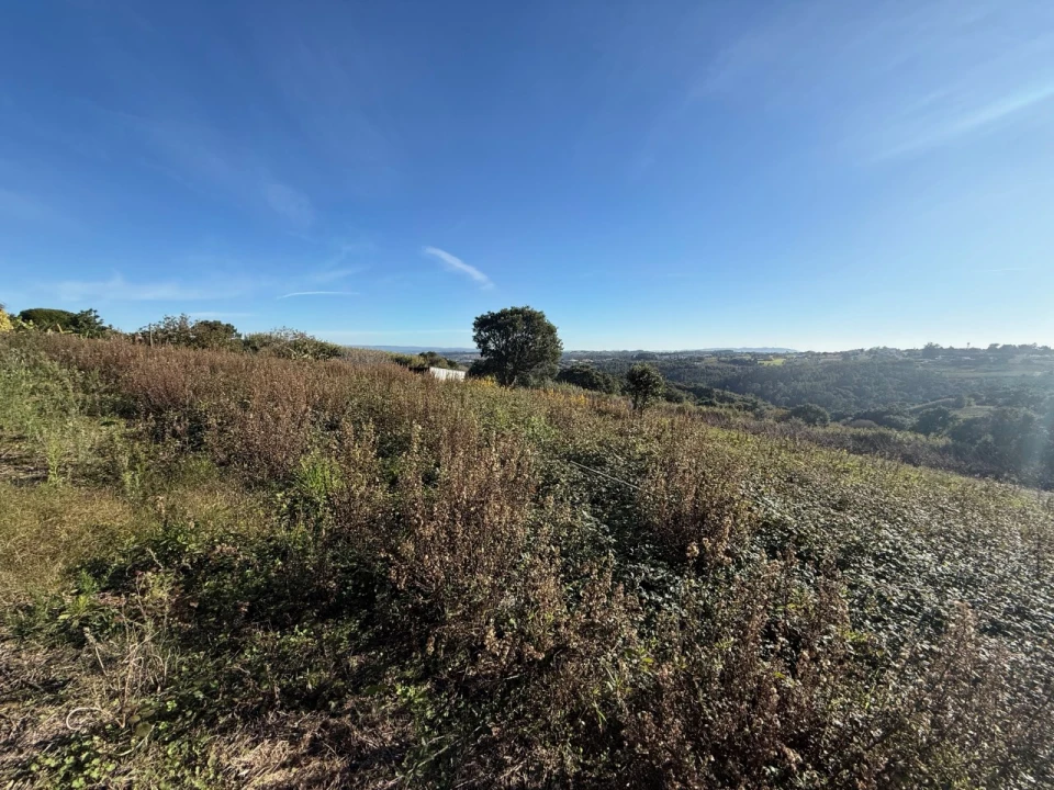Terreno para Venda em Usseira Foto 1