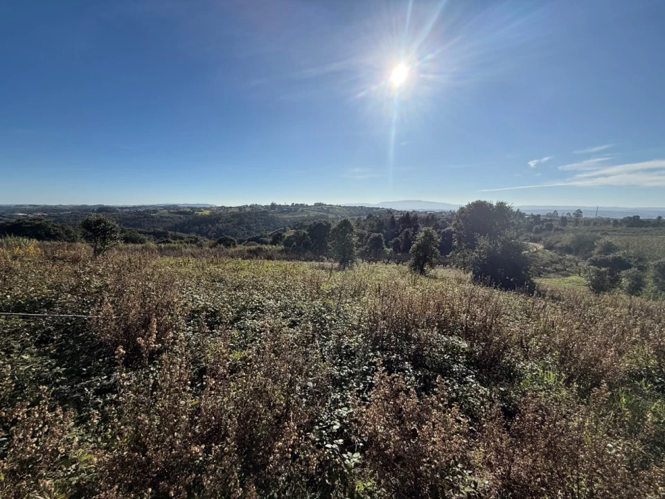 Terreno para Venda em Usseira Foto 15