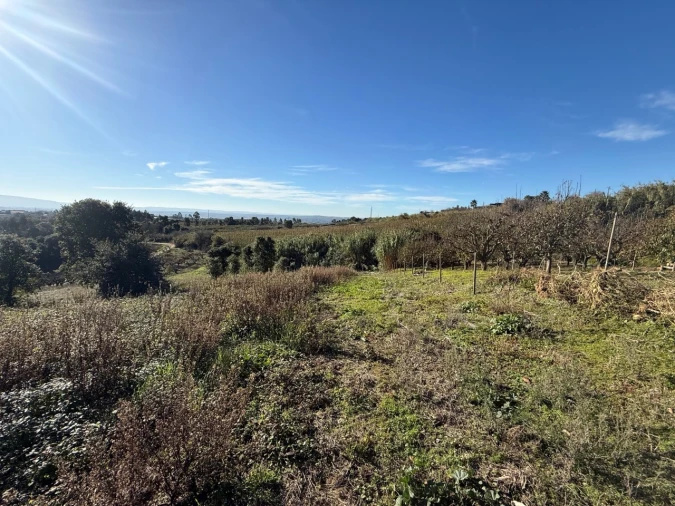 Terreno para Venda em Usseira Foto 16