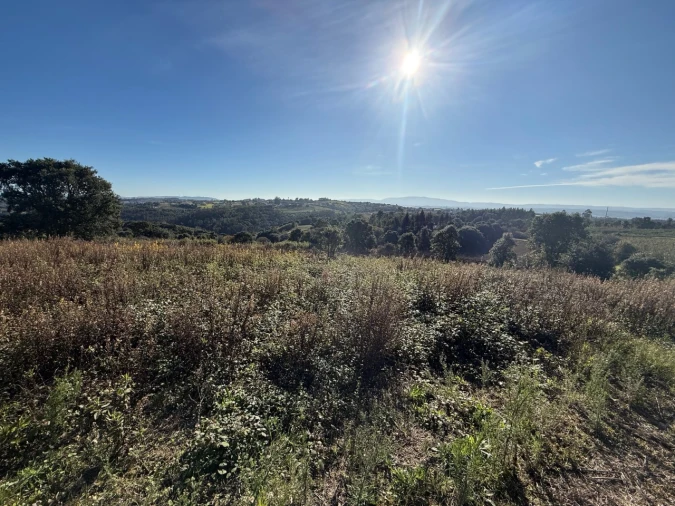 Terreno para Venda em Usseira Foto 18