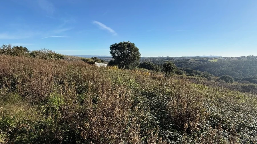 Terreno para Venda em Usseira