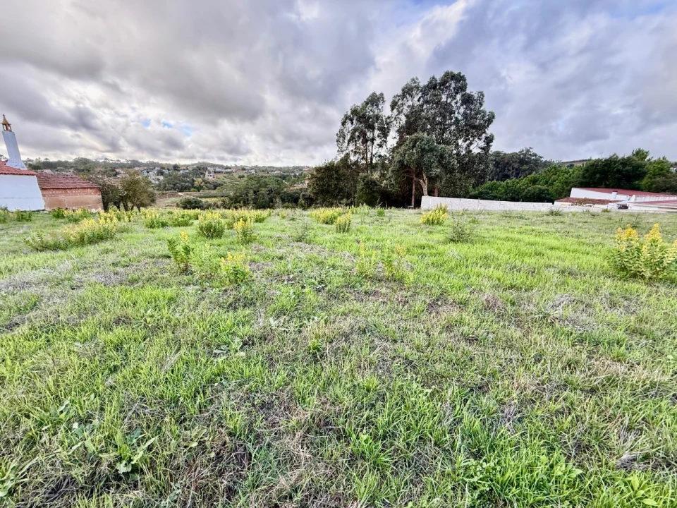Terreno para Venda em Cela Foto 3