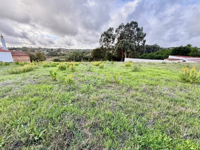 Terreno para Venda em Cela Foto 3
