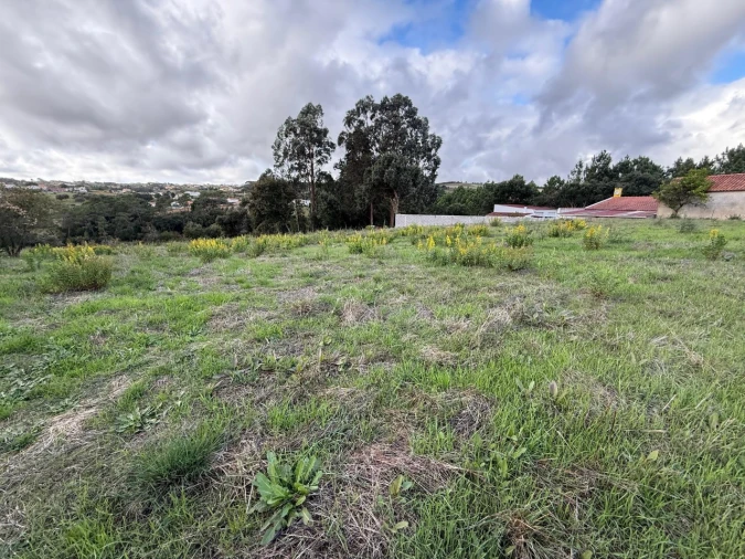 Terreno para Venda em Cela Foto 7