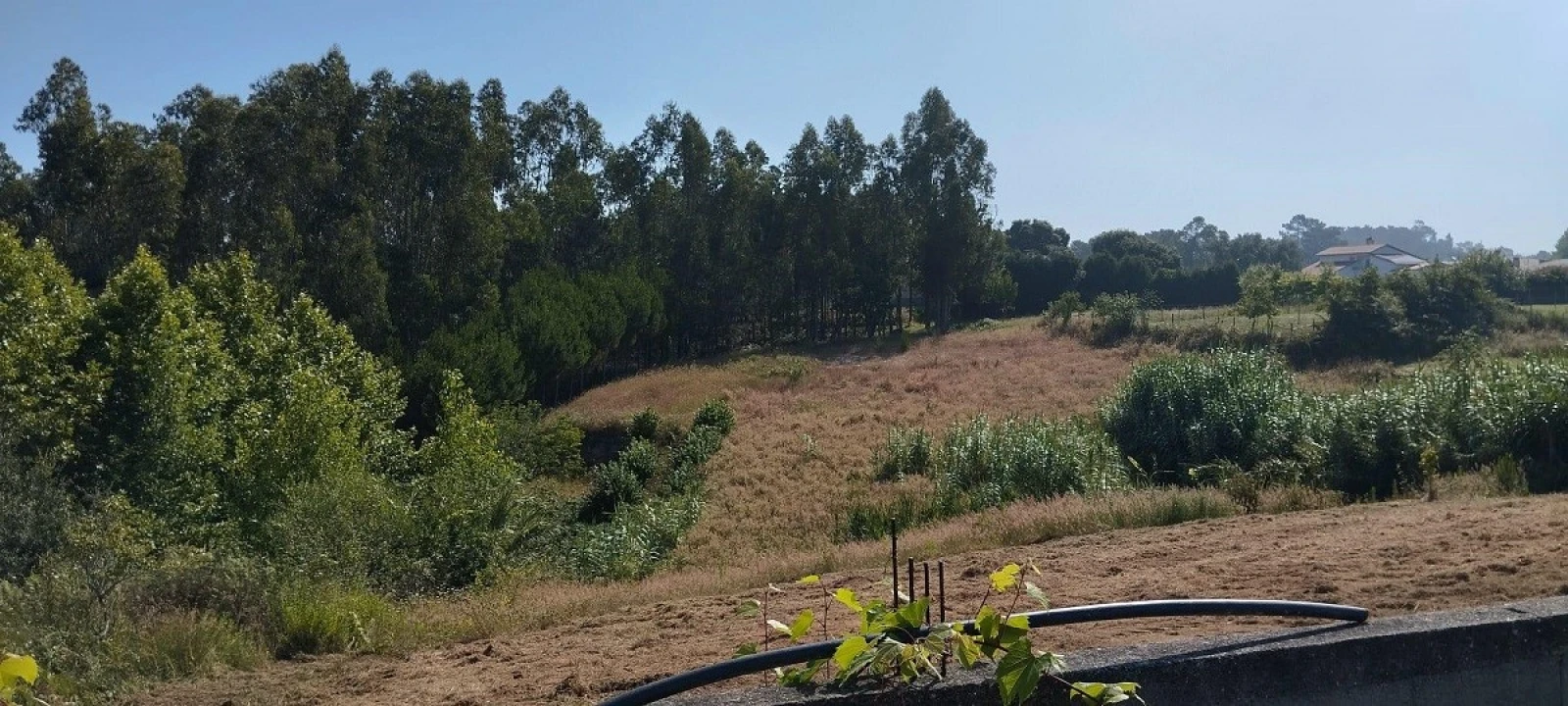 Terreno para Venda em Souto da Carpalhosa e Ortigosa Foto 4