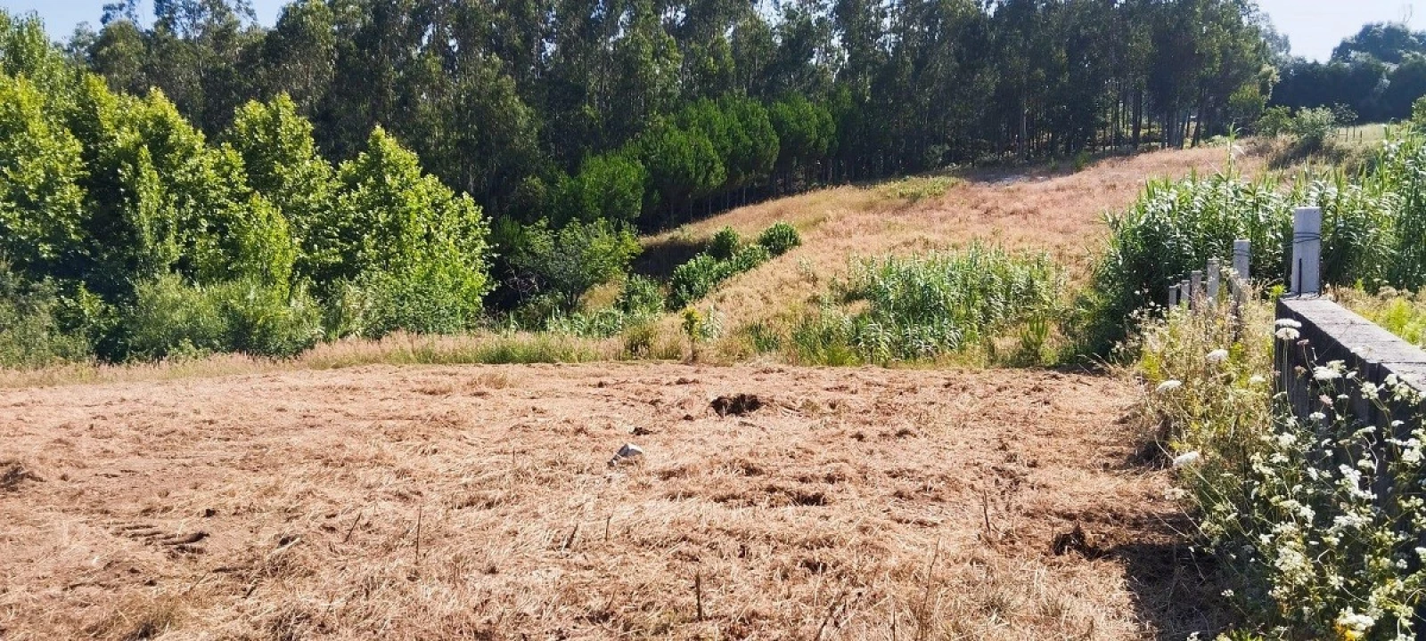 Terreno para Venda em Souto da Carpalhosa e Ortigosa Foto 10